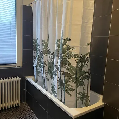 Schaengelrooms Appartement Coblence